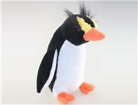 rockhopper penguin