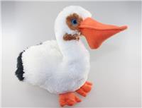pelican
