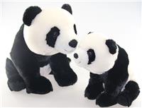 forest panda