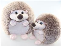 forest hedgehog
