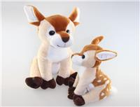 forest deer