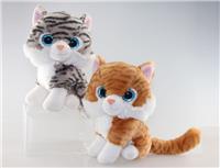 sweety kitty