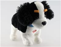 b/o dancing dog