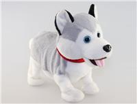 b/o walking jumping husky