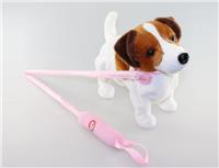 b/o walking dog w. stick
