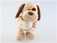b/o dancing dog