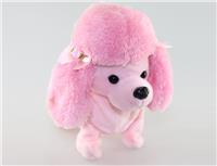 b/o mini walking poodle 