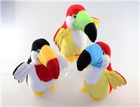 b/o talking and repeating toucan