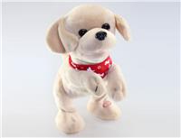 b/o dancing dog