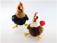 farm rooster