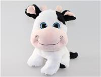 sweety cow
