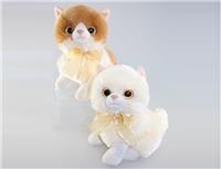 sitting cat