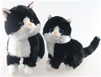  black cat