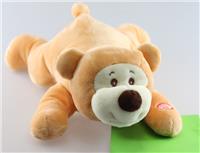 color reader bear
