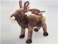 forest elk