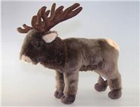 forest elk