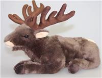 forest elk