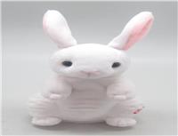 recording bunny