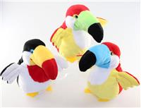 talking and repeating toucan
