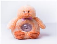 night light duck